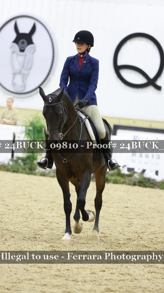 Proof 24BUCK_09810
