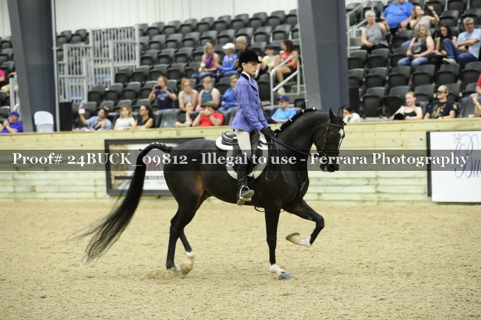 Proof 24BUCK_09812