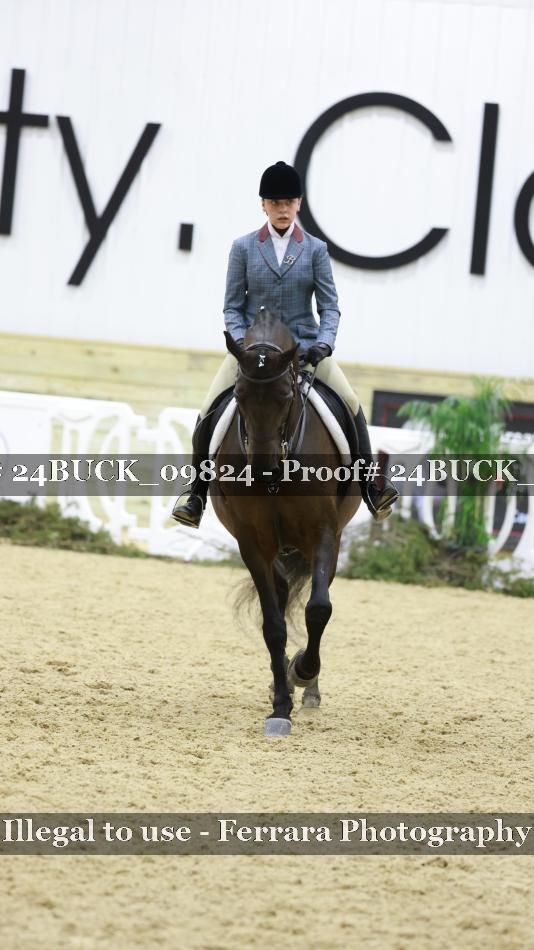 Proof 24BUCK_09824