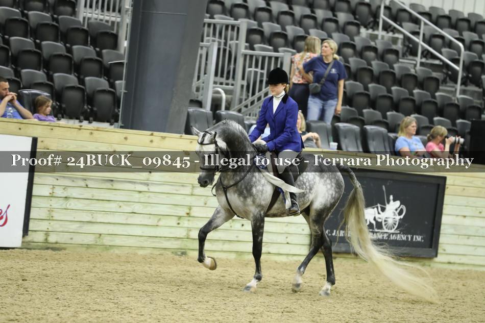 Proof 24BUCK_09845