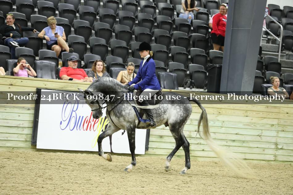 Proof 24BUCK_09847