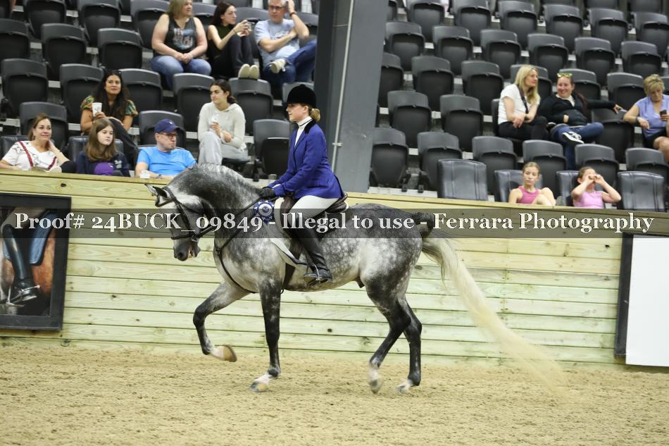 Proof 24BUCK_09849