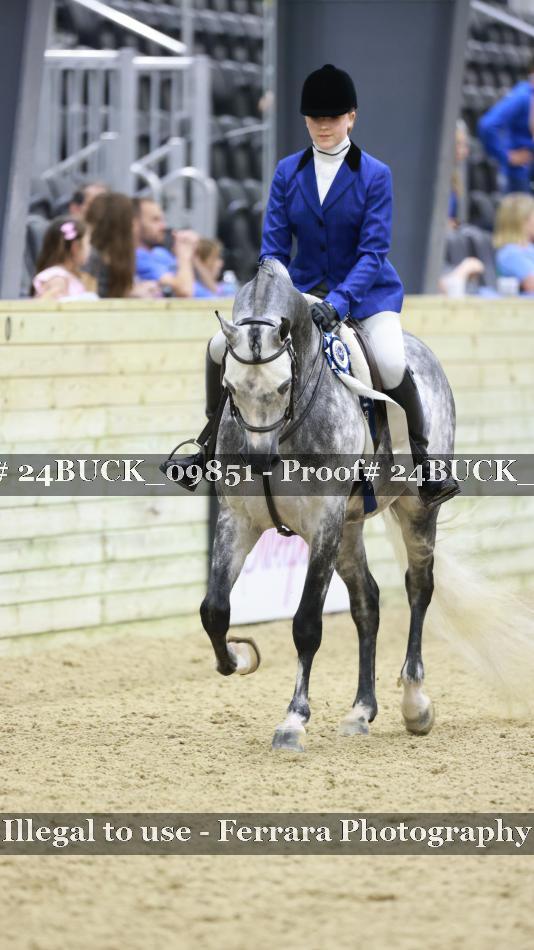 Proof 24BUCK_09851