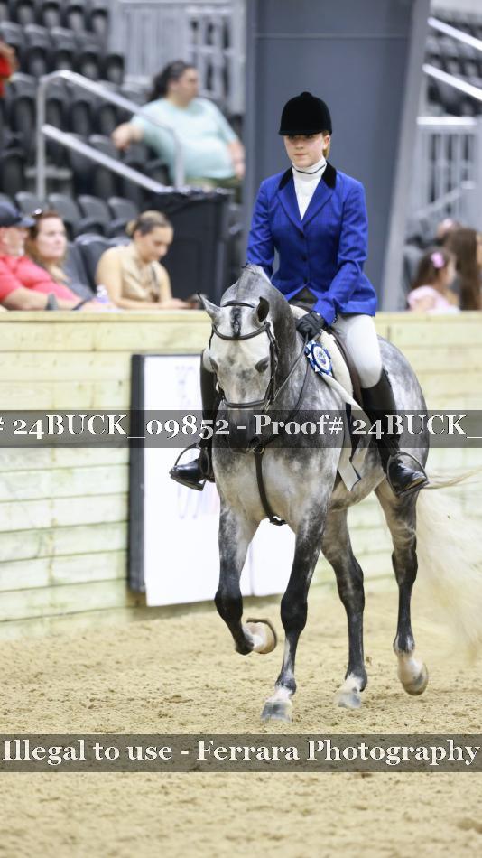Proof 24BUCK_09852