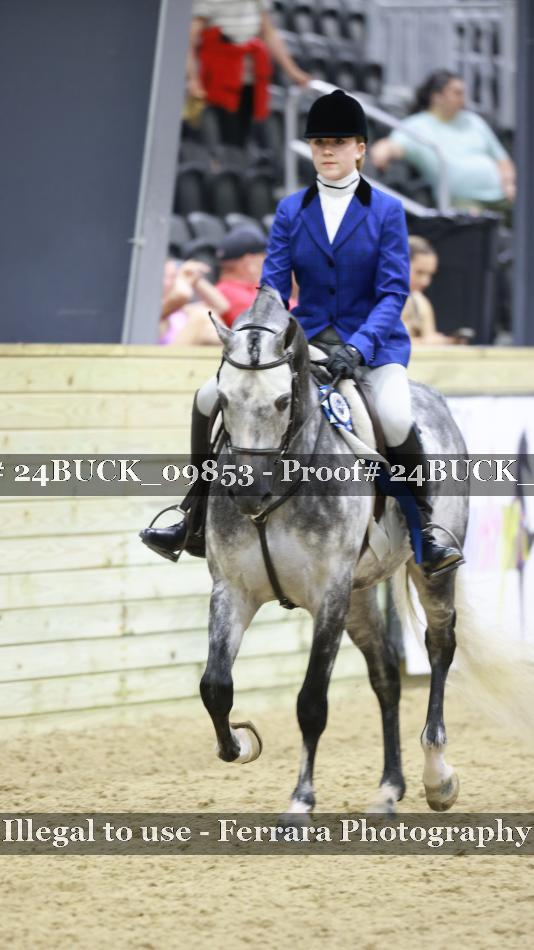 Proof 24BUCK_09853