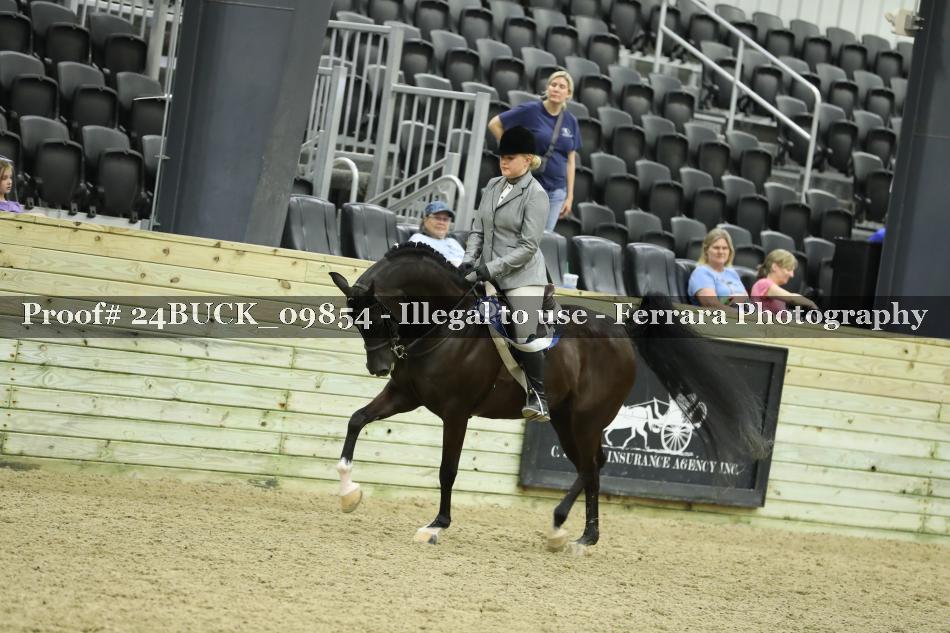 Proof 24BUCK_09854
