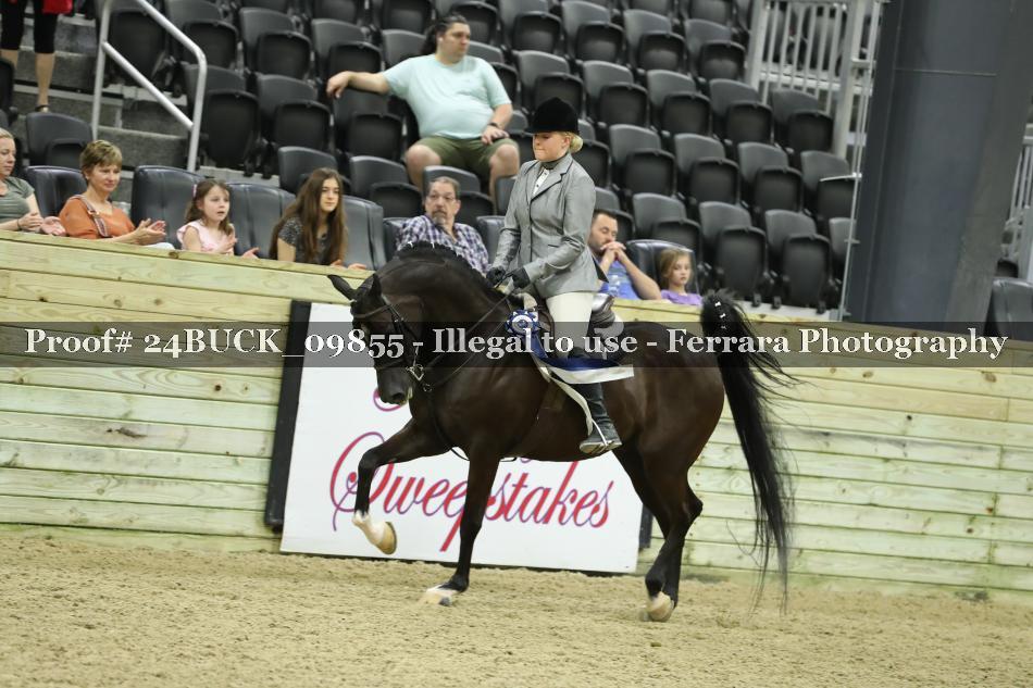Proof 24BUCK_09855