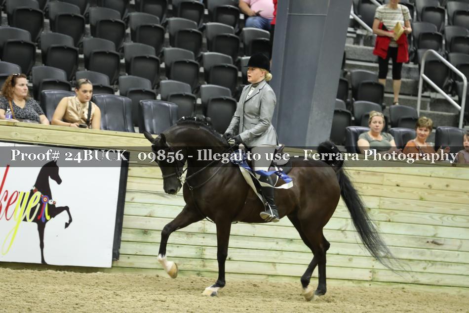 Proof 24BUCK_09856