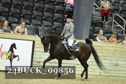 24BUCK_09856 proof