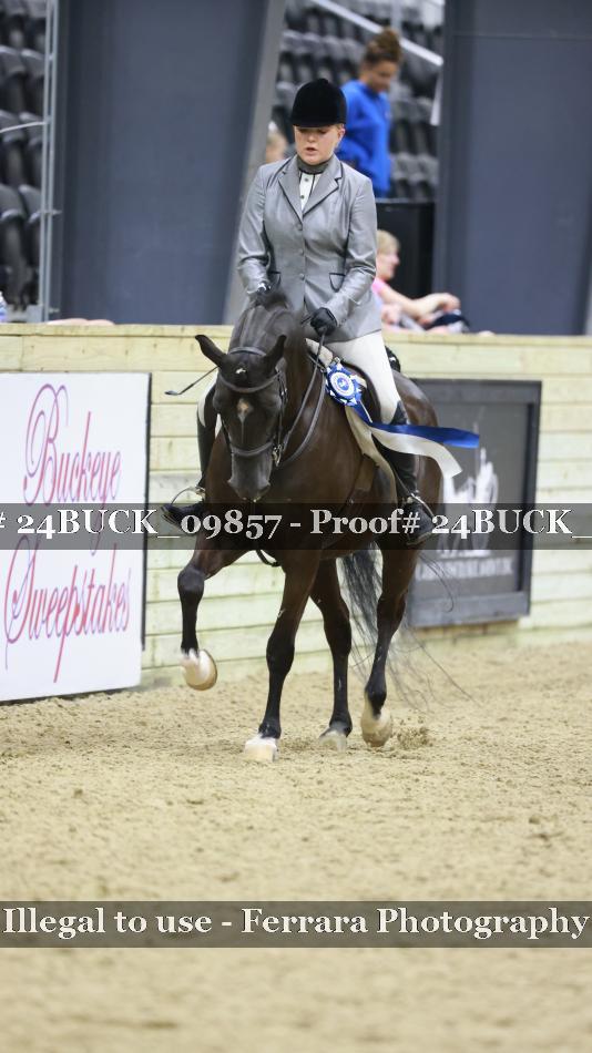 Proof 24BUCK_09857