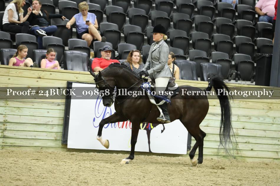 Proof 24BUCK_09858