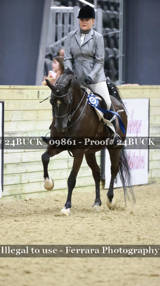 Proof 24BUCK_09861