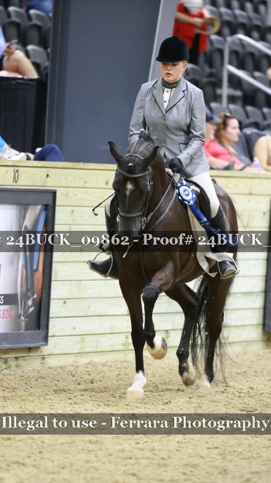 Proof 24BUCK_09862