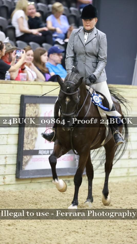 Proof 24BUCK_09864