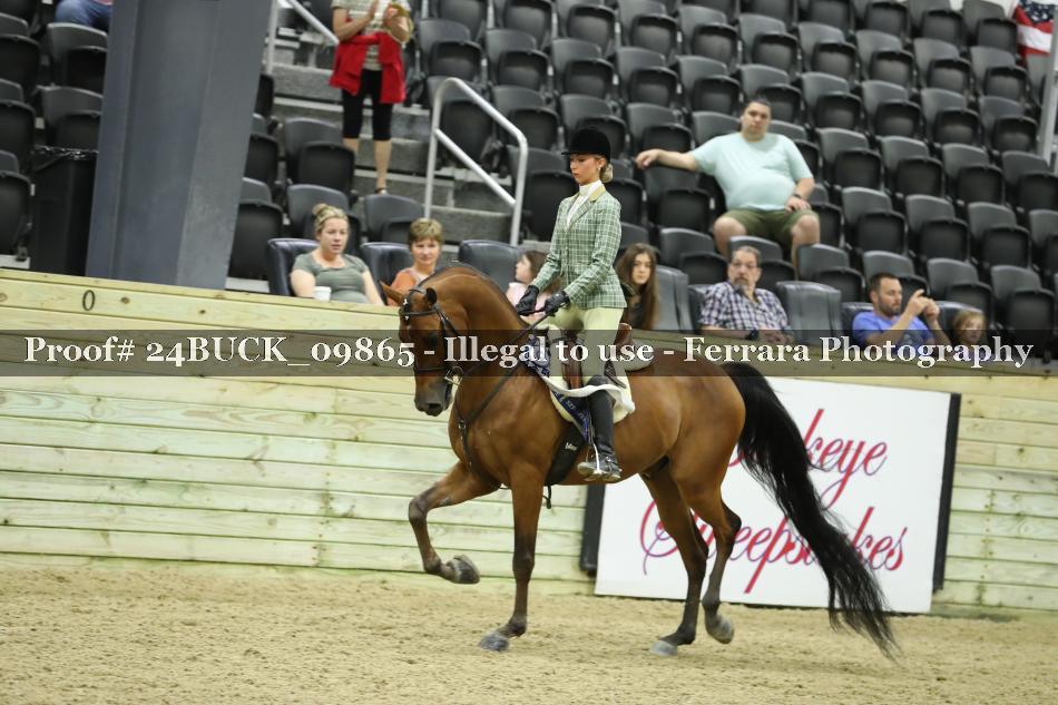 Proof 24BUCK_09865