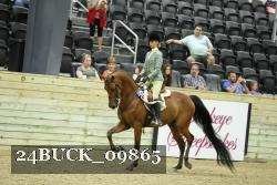 24BUCK_09865 proof
