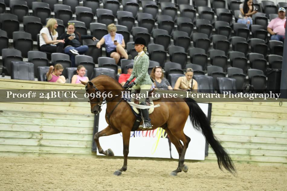 Proof 24BUCK_09866