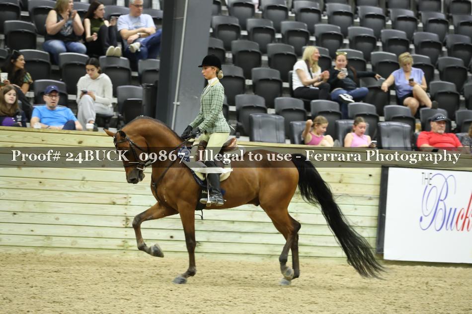 Proof 24BUCK_09867