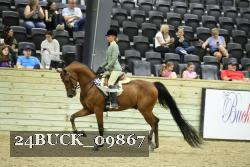 24BUCK_09867 proof