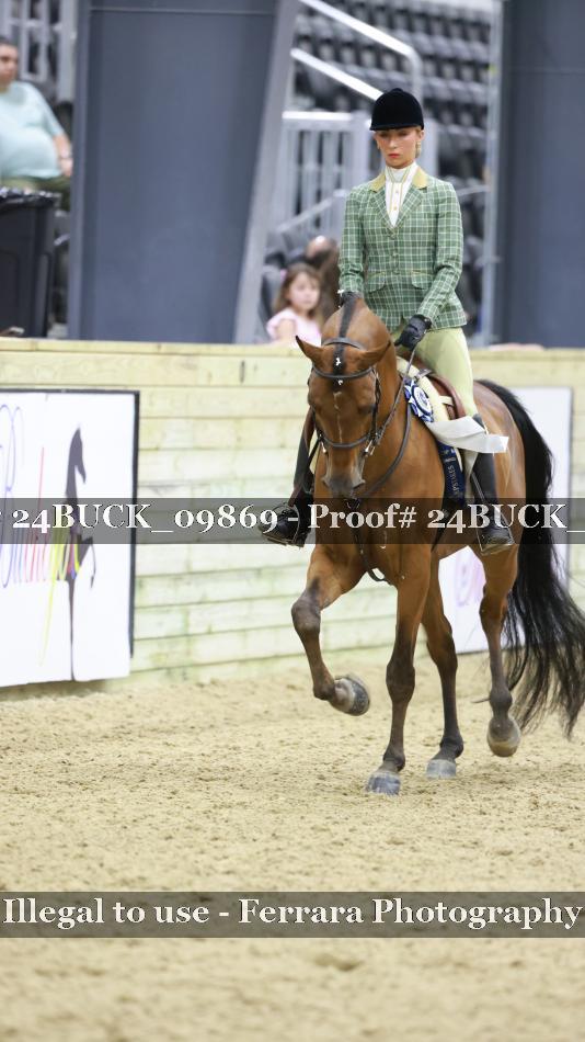 Proof 24BUCK_09869