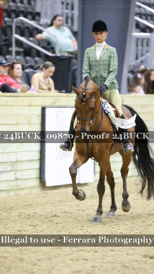 Proof 24BUCK_09870