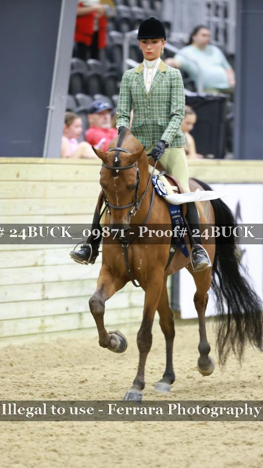 Proof 24BUCK_09871