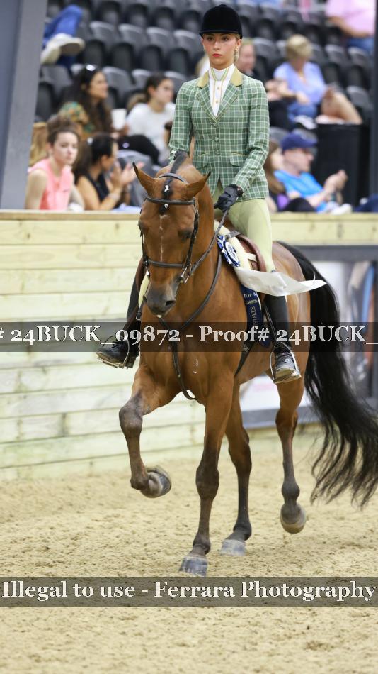 Proof 24BUCK_09872