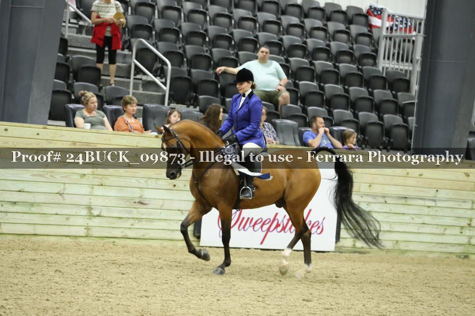 Proof 24BUCK_09873