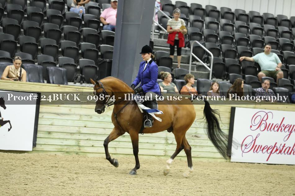 Proof 24BUCK_09874