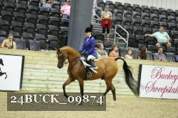 24BUCK_09874 proof