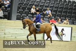 24BUCK_09875 proof