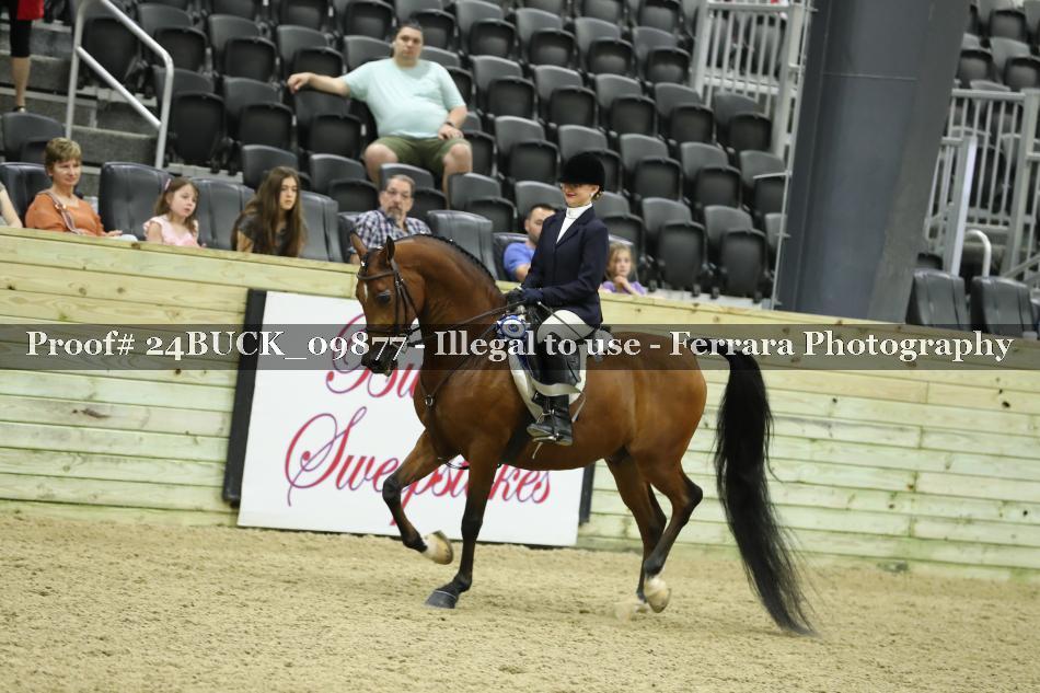 Proof 24BUCK_09877