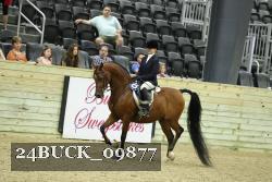 24BUCK_09877 proof
