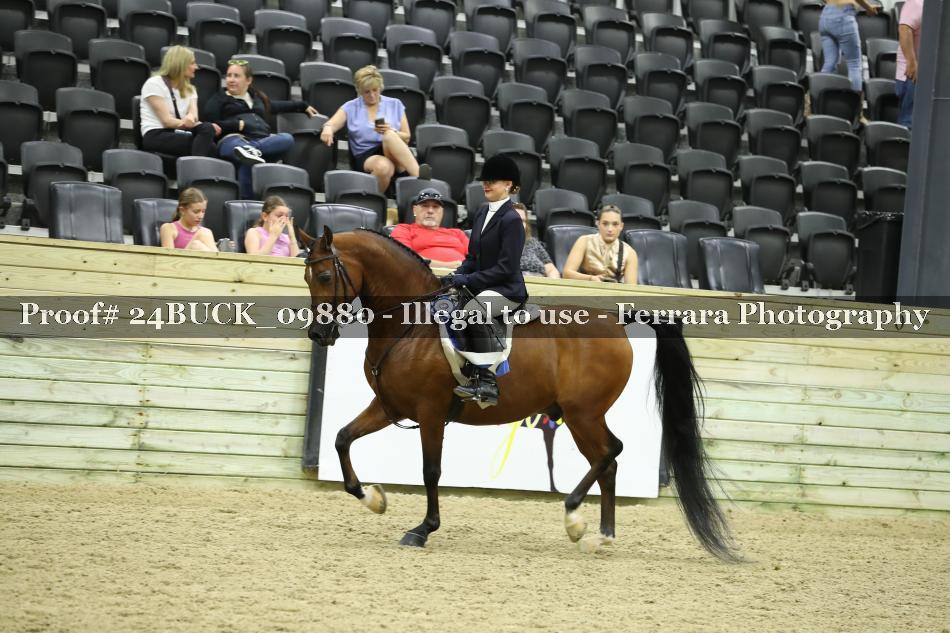 Proof 24BUCK_09880