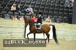 24BUCK_09880 proof