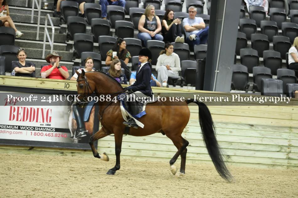 Proof 24BUCK_09884