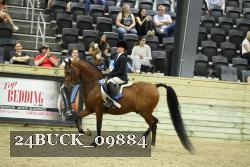 24BUCK_09884 proof
