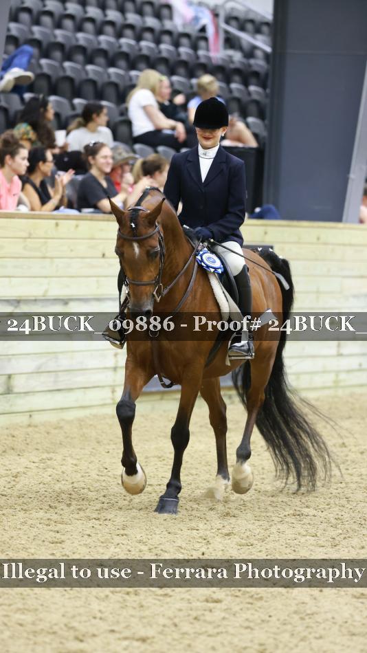 Proof 24BUCK_09886