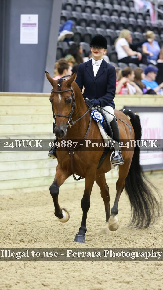 Proof 24BUCK_09887