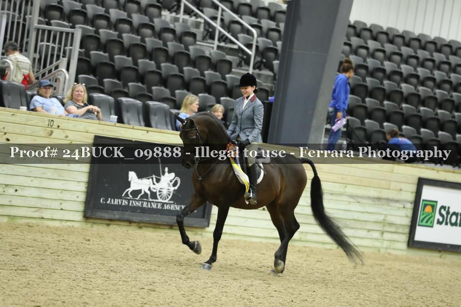 Proof 24BUCK_09888