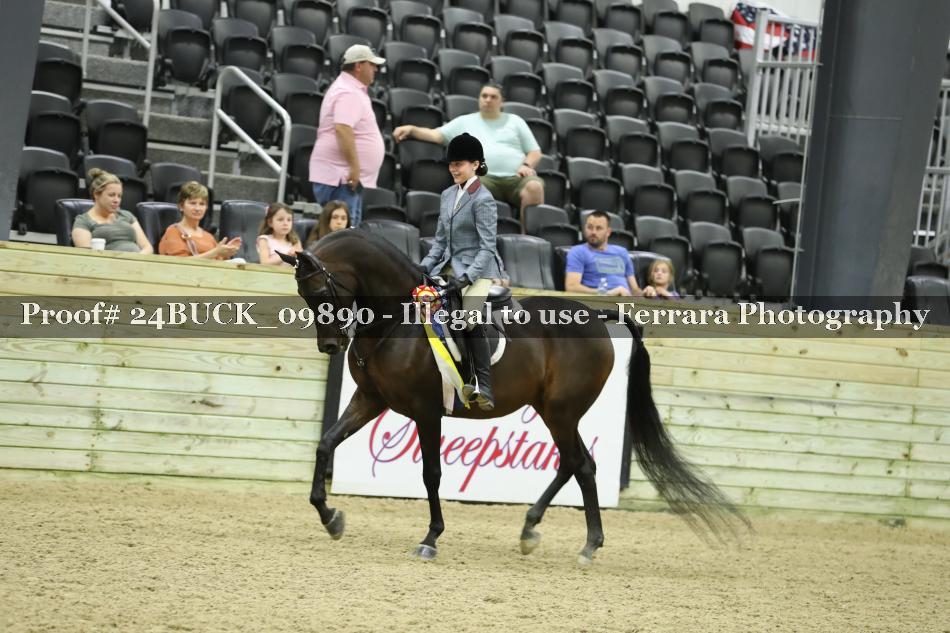 Proof 24BUCK_09890