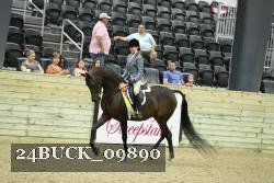 24BUCK_09890 proof