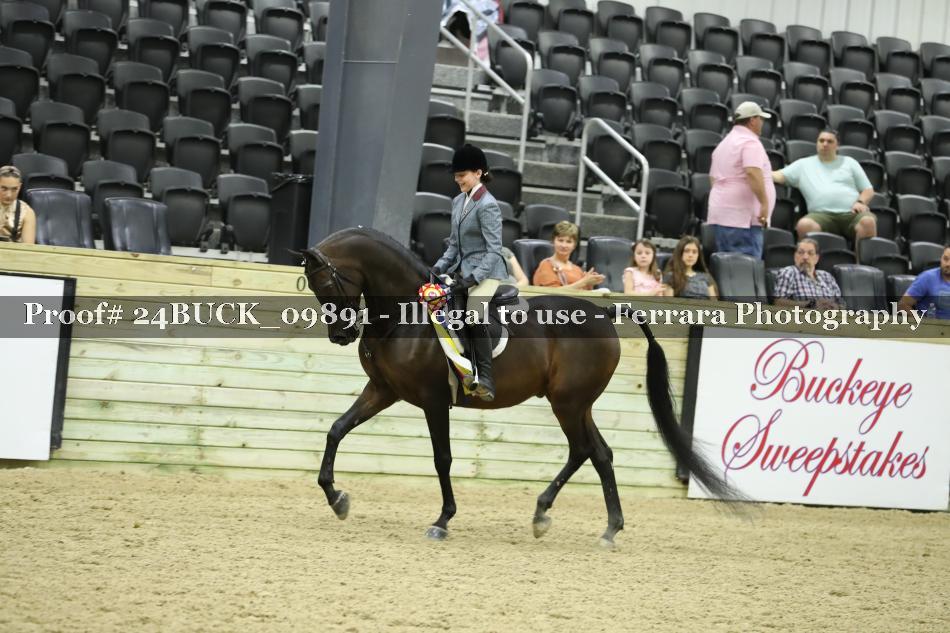 Proof 24BUCK_09891