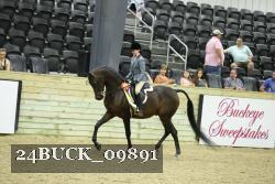 24BUCK_09891 proof