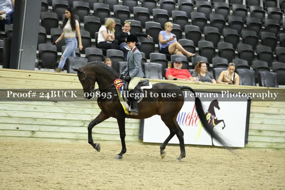 Proof 24BUCK_09895