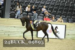 24BUCK_09895 proof