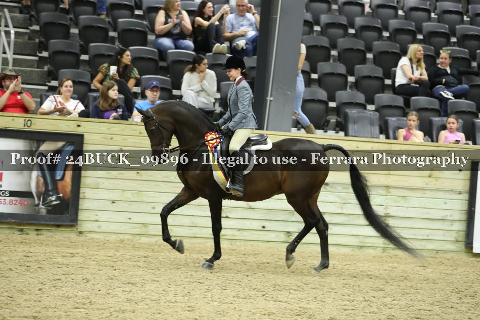 Proof 24BUCK_09896