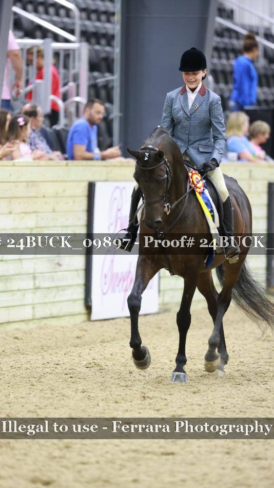 Proof 24BUCK_09897