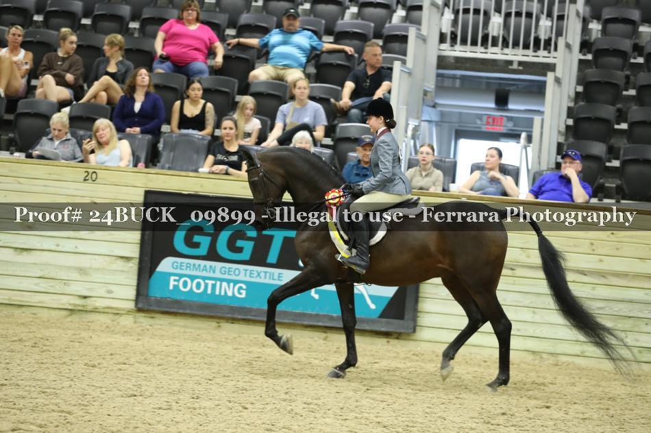 Proof 24BUCK_09899