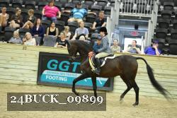 24BUCK_09899 proof